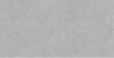 Bluestone Light 60x120