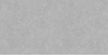 Bluestone Light 61х121