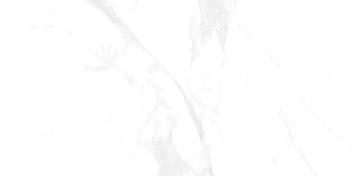 Bony Statuario 600x1200