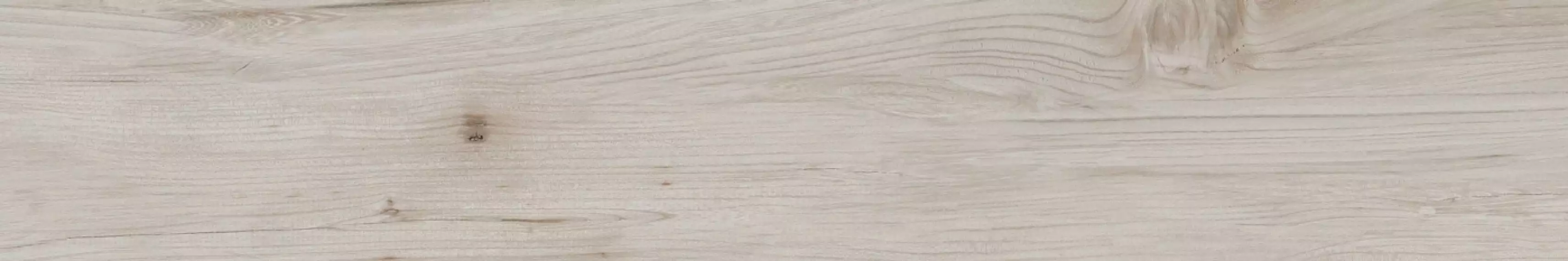 Borneo Gris Rectificado 19,5x120