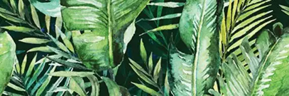 Braga Tropic B Rect 25x75