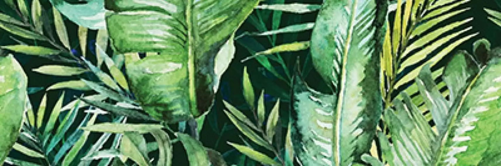 Braga Tropic B Rect 25x75