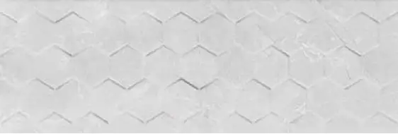 Braga White Hexagon Rett 25x75