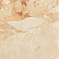 Brecci Aurora Gold Polished 60х60