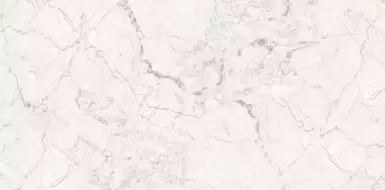 Breccia Silver Carving 60x120