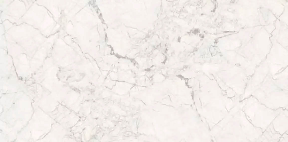 Breccia Silver Carving 60x120
