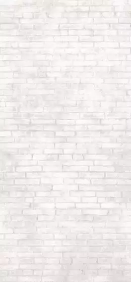 Bricklane 260 White 120x260