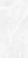 Brizzo White RS Carving 60х120