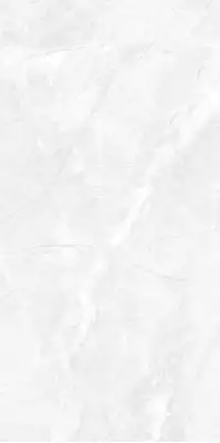 Brizzo White RS Carving 60х120