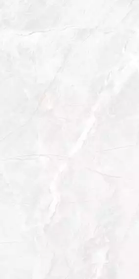 Brizzo White RS Carving 60х120