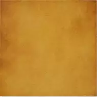Bronce 31.6x31.6