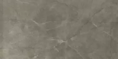 Bronze Armani Gris Carving 60x120