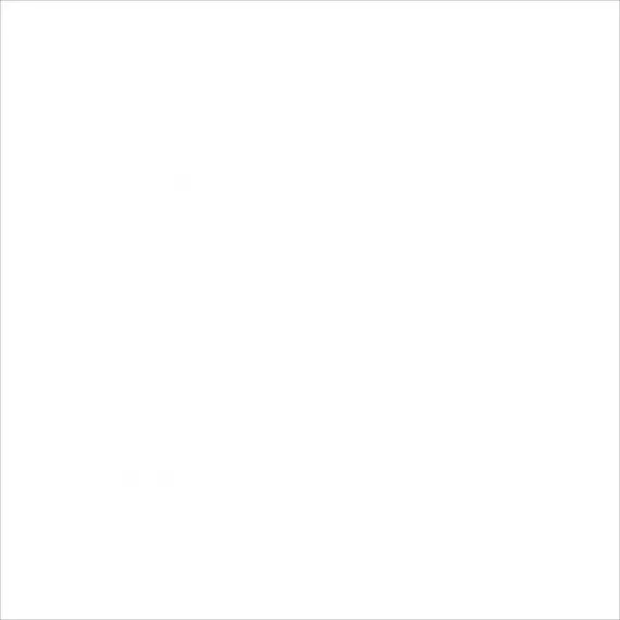 C-PW4R052 Palitra белый 42x42