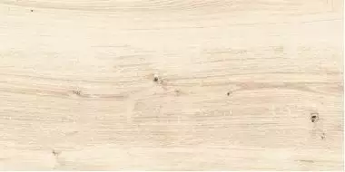 C-WS4O302D Woodhouse светло-бежевый 29,7х59,8