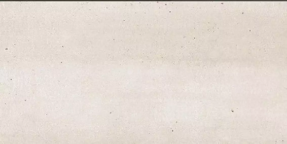 C220407981 Concrete Beige Nature 29,7x59,6
