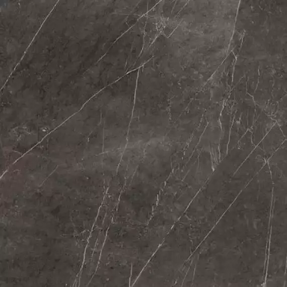 C221100081 Xlight 120x120 Savage Dark Polished