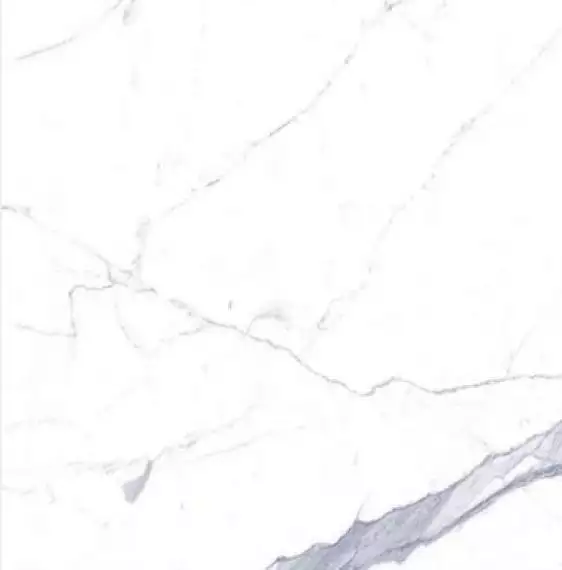 C221100131 Xlight 120x120 Kala White Polished
