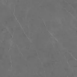 C221100601 Xlight Liem Grey Polished 120x120