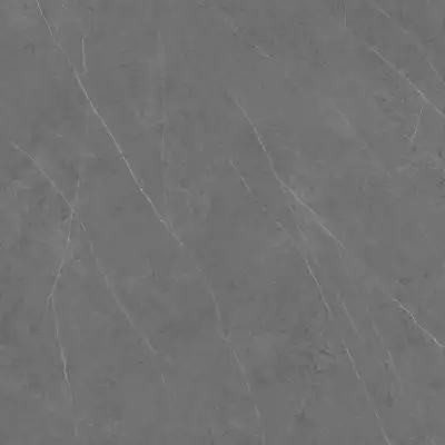 C221100601 Xlight Liem Grey Polished 120x120