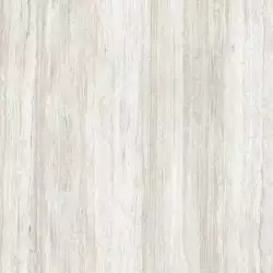 C221100801 Xlight Haven Bone Polished 120x120
