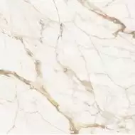 C221101881 Xlight Premium 120x120 Calacatta Gold Polished