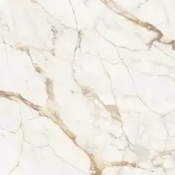 C221101881 Xlight Premium 120x120 Calacatta Gold Polished