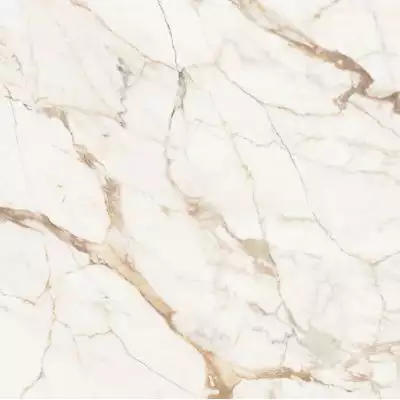 C221101881 Xlight Premium 120x120 Calacatta Gold Polished