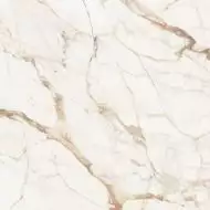 C221101891 Xlight Premium 120x120 Calacatta Gold Nature