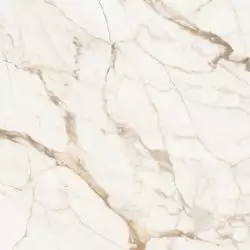 C221101891 Xlight Premium 120x120 Calacatta Gold Nature