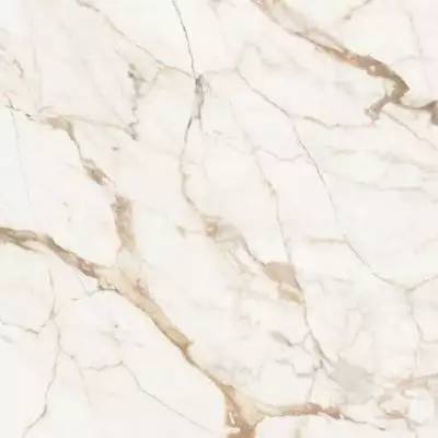C221101891 Xlight Premium 120x120 Calacatta Gold Nature