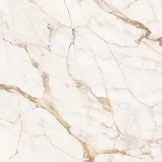 C221101891 Xlight Premium 120x120 Calacatta Gold Nature