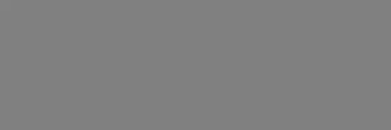C226500471 Xlight Basic Steel Nature 300x100