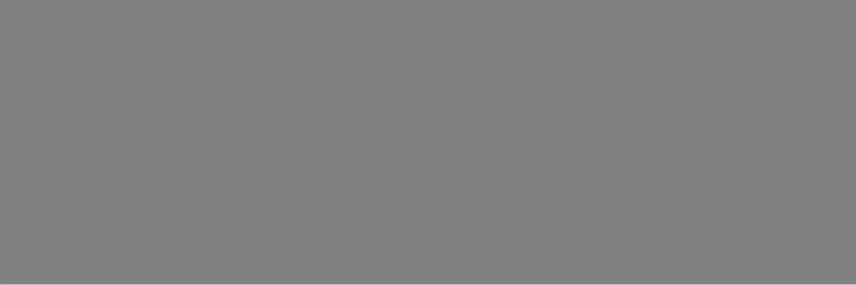 C226500471 Xlight Basic Steel Nature 300x100