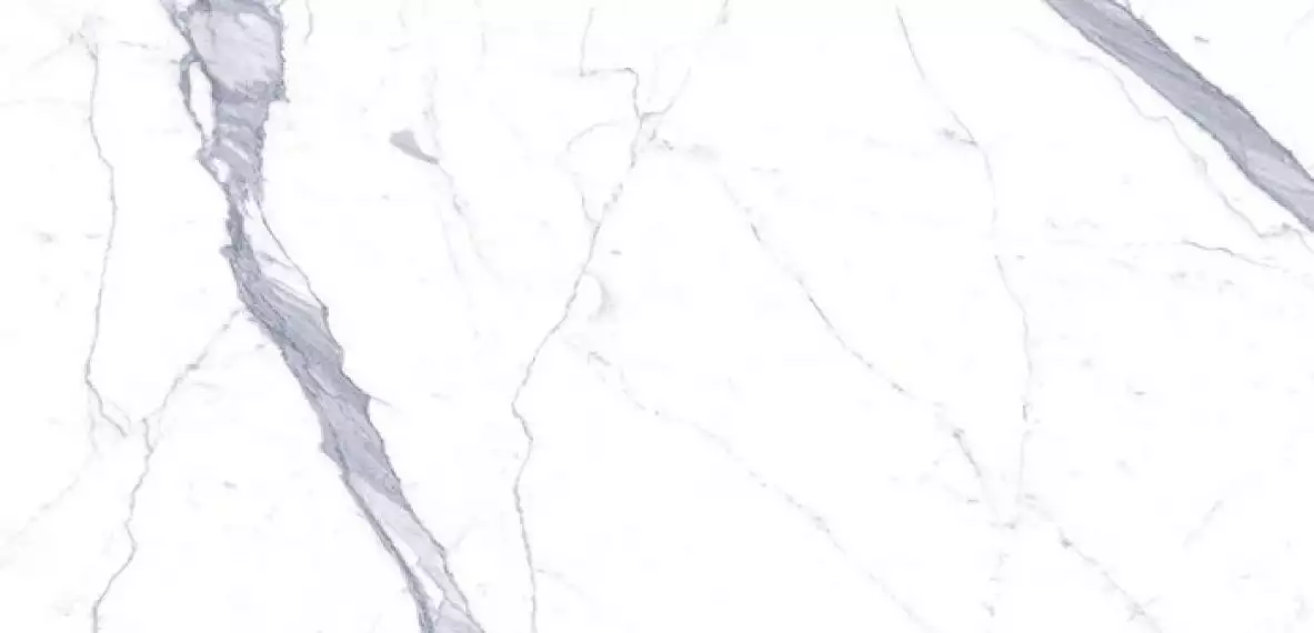 C229800461 Xlight 120x250 Kala White Polished