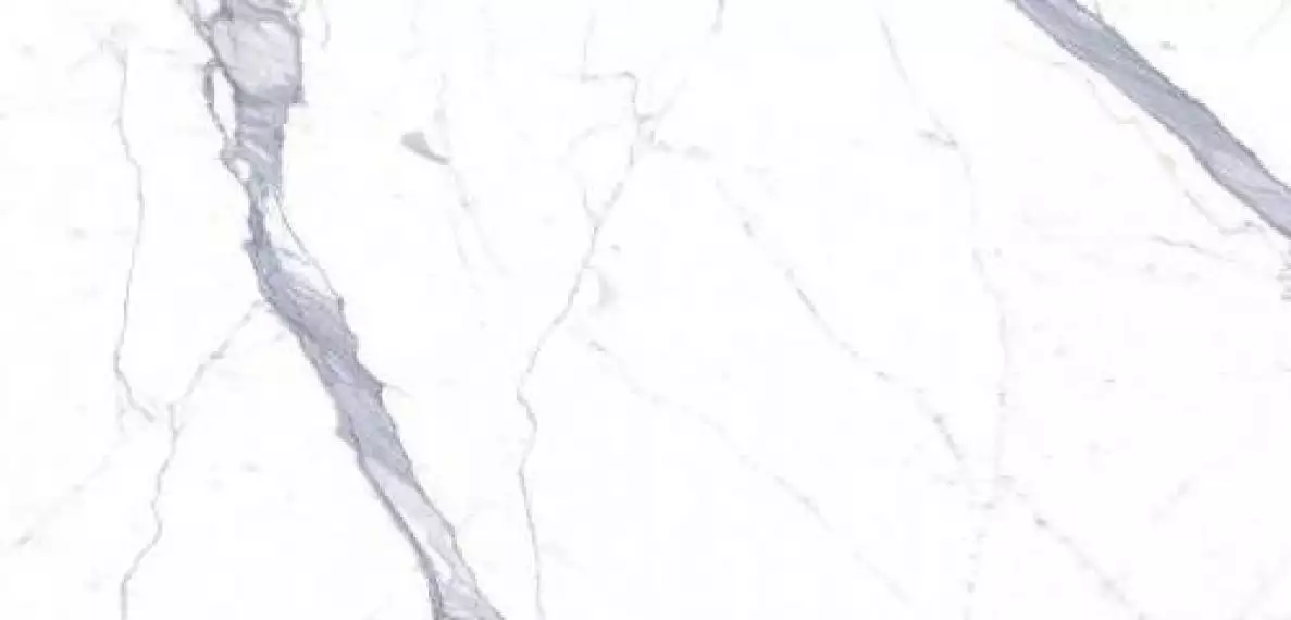 C229800481 Xlight 120x250 Kala White Polished B