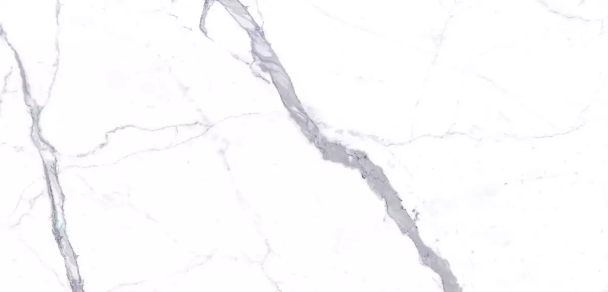C229800621 Xlight Kala White Nature A 120x250