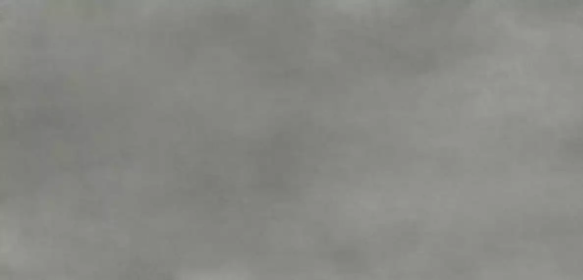 C229801381 Xlight Raw Grey Nature 120x250