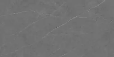 C229801491 Xlight Liem Grey Polished 120x250