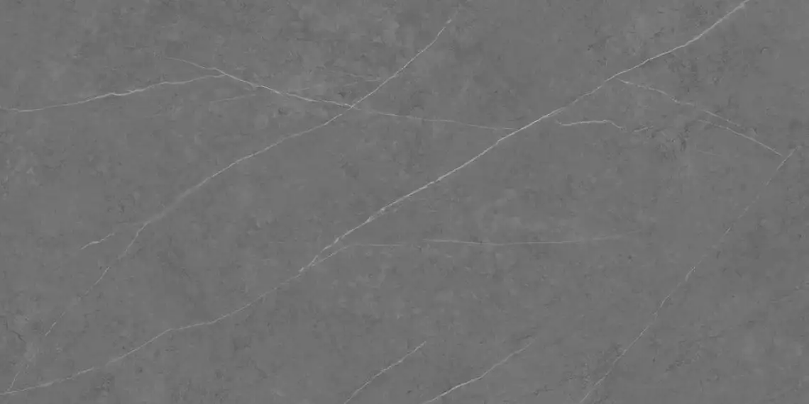 C229801491 Xlight Liem Grey Polished 120x250