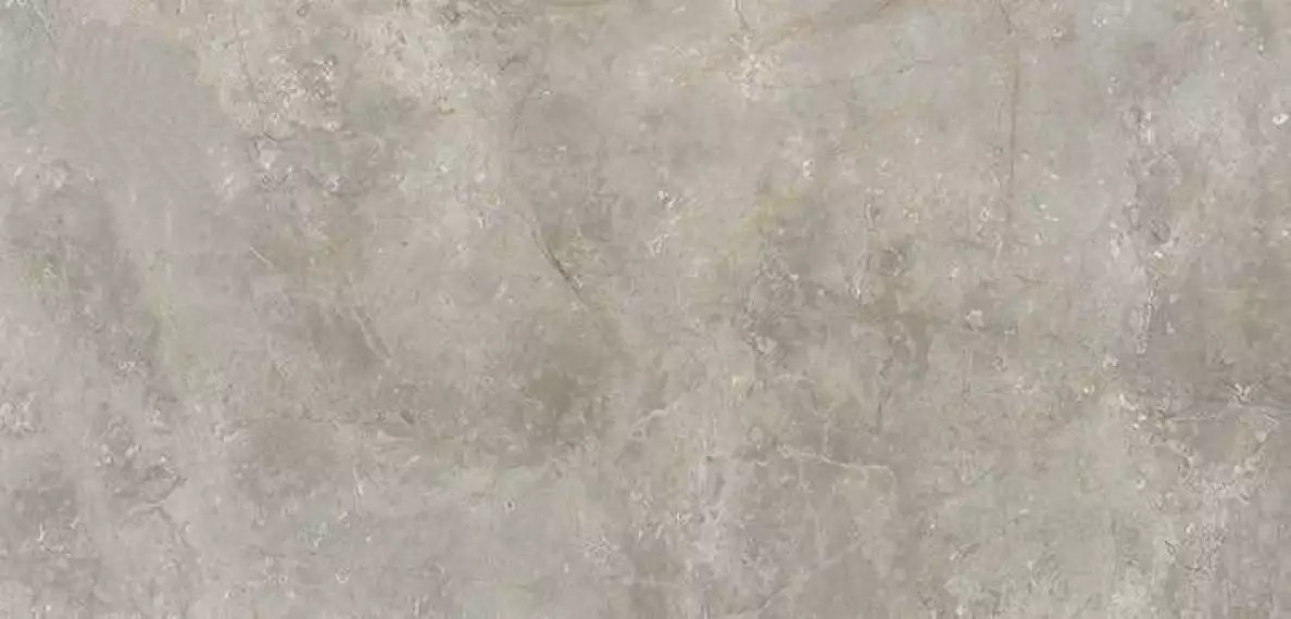 C229802561 Xlight Premium Krane Grey Nature 120x250