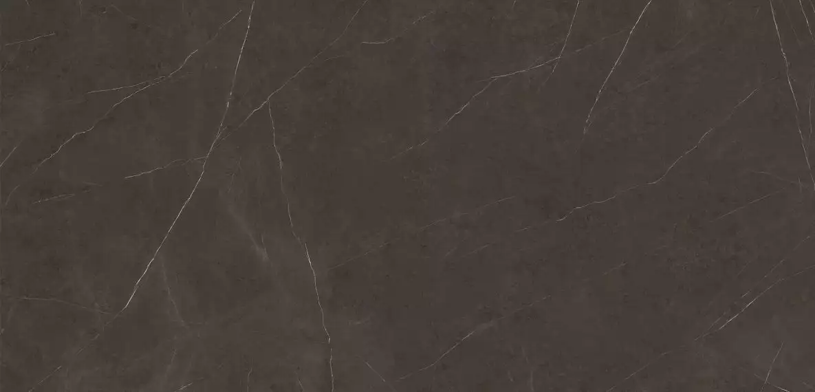 C229802721 Xlight Premium 120x250 Liem Dark Nature (6 мм)