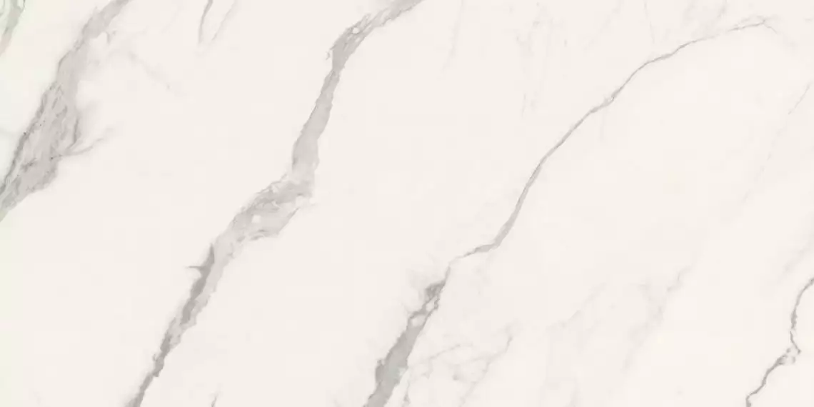 C229802871 Xlight Premium Aria White Polished 6 mm 120x250