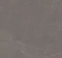C229994551 Xlight 150x150 Liem Grey Silk