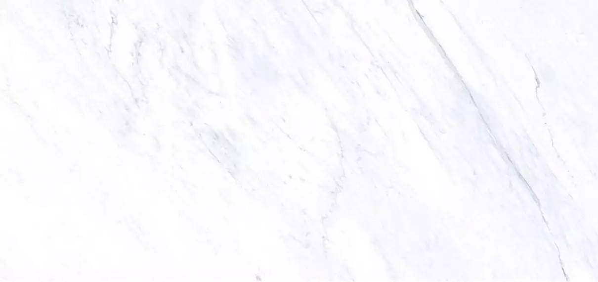 C279007241 Xlight 154x328 Lush White Polished