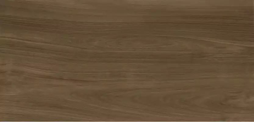 C279024531 Xlight Ewood Honey Nature 6mm 150x300