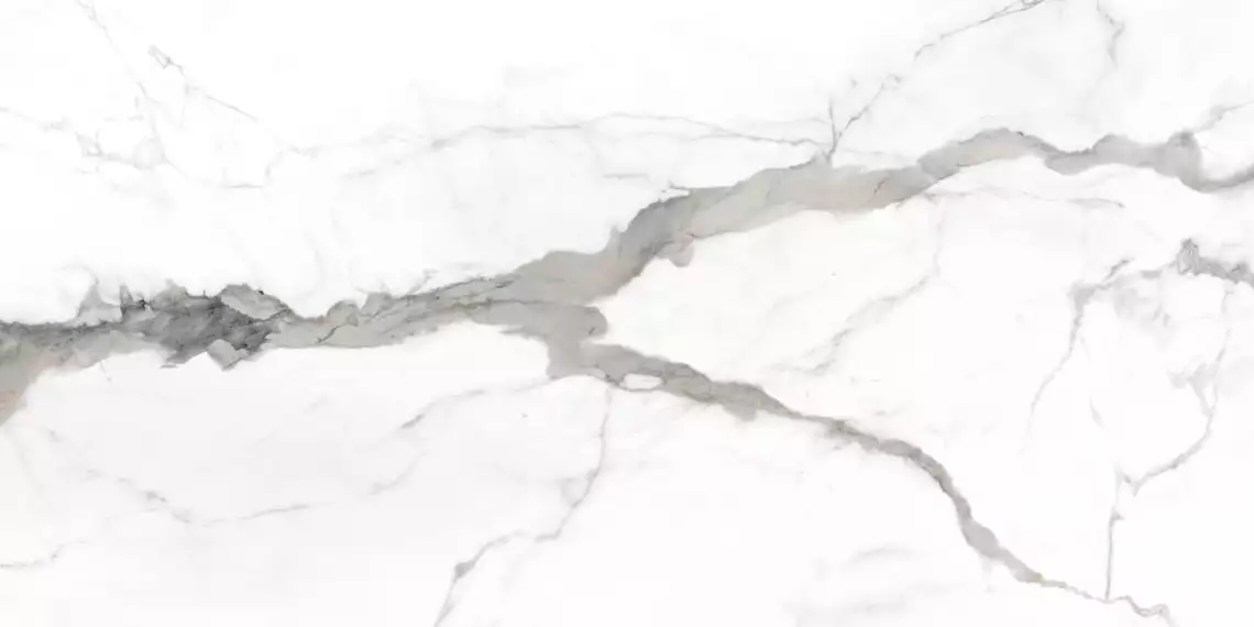 CA016012N Керамогранит Calacatta Grey 60х120