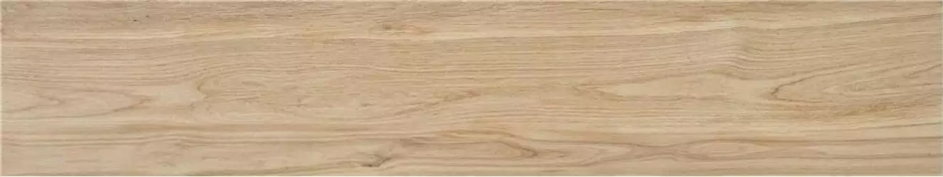 CAH4HAVSMDHA Керамогранит Havsta Camel MT Rect 23x120