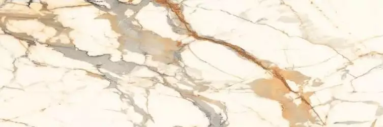 CALACATTA BRONZE Polished 240x80