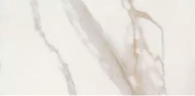 CALACATTA GOLD LAP RET 120x278