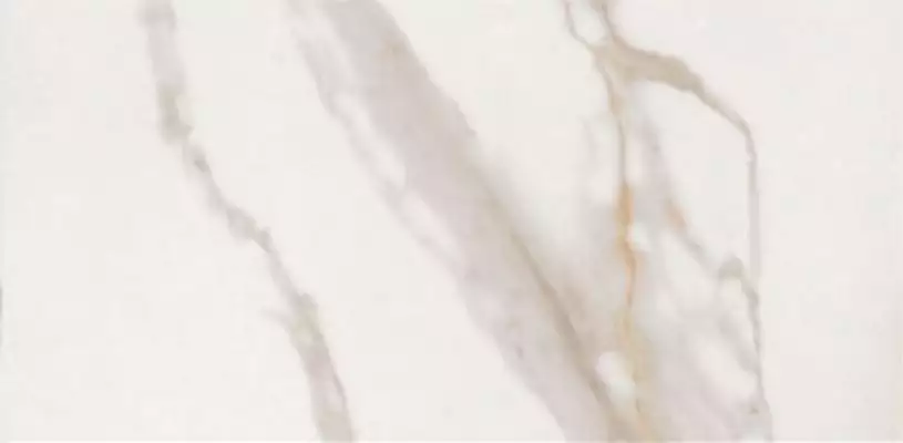 CALACATTA GOLD LAP RET 120x278